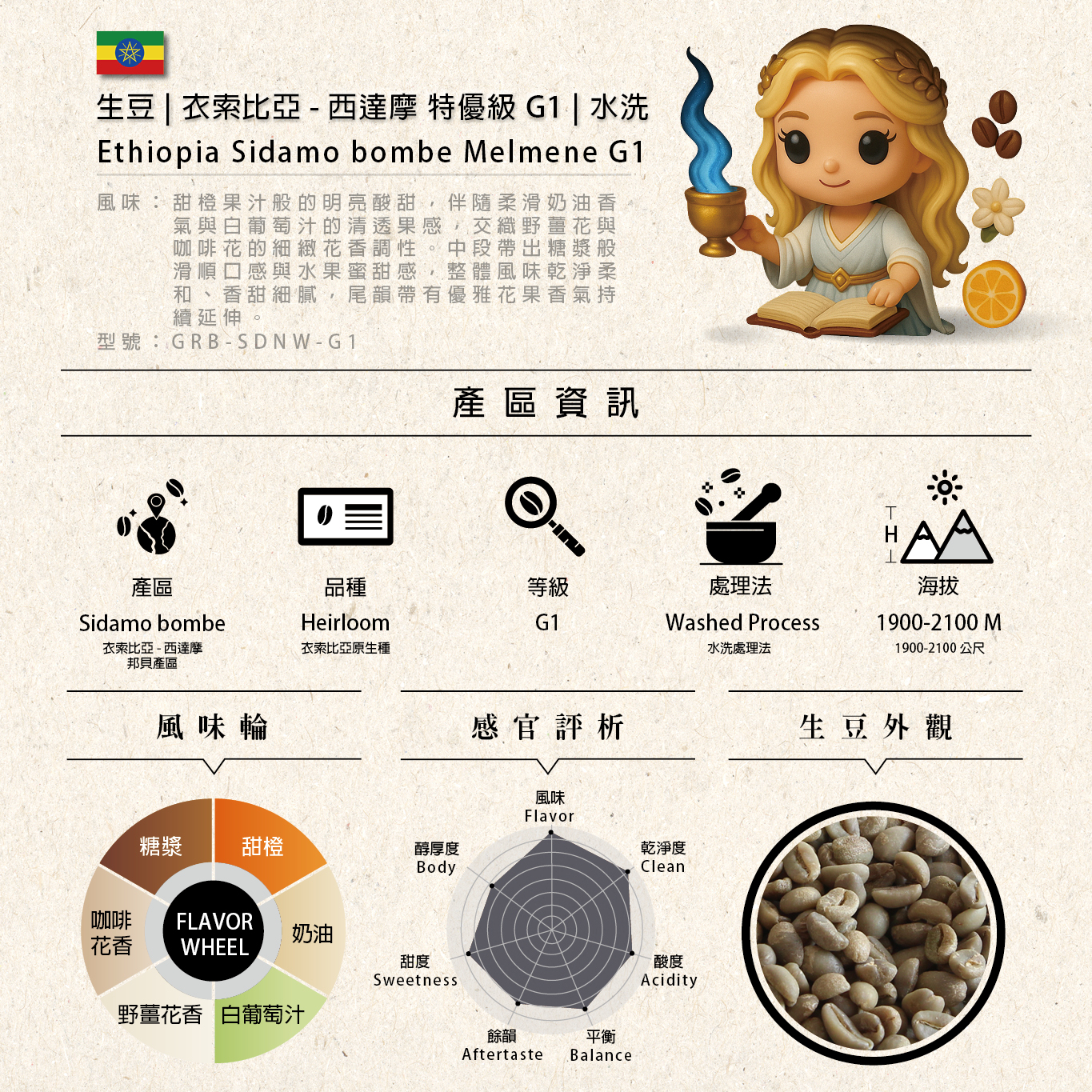 中国古玩　慶宣堂製豆彩金魚文盃　口径7.4㎝ 東Y7-0414② 生豆| 衣索比亞-西達摩特優級G1 | 水洗※ Ethiopia Sidamo bombe